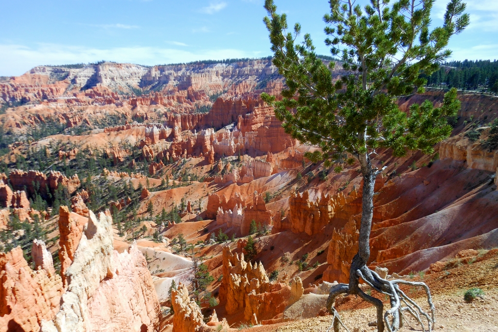 bryce canyon nationaal park amerika Bryce Canyon National Park in de Verenigde Staten