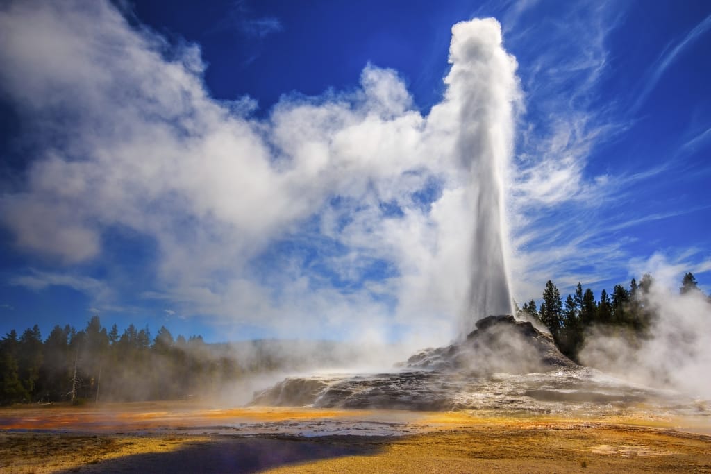 geiser yellowstone verenigde staten Castle Geyser in Yellowstone National Park, Verenigde Staten