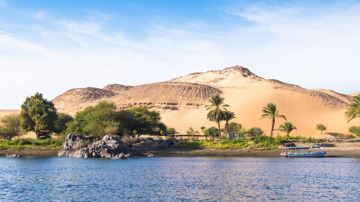 Palmbomen en duinen langs de Nijl in Egypte