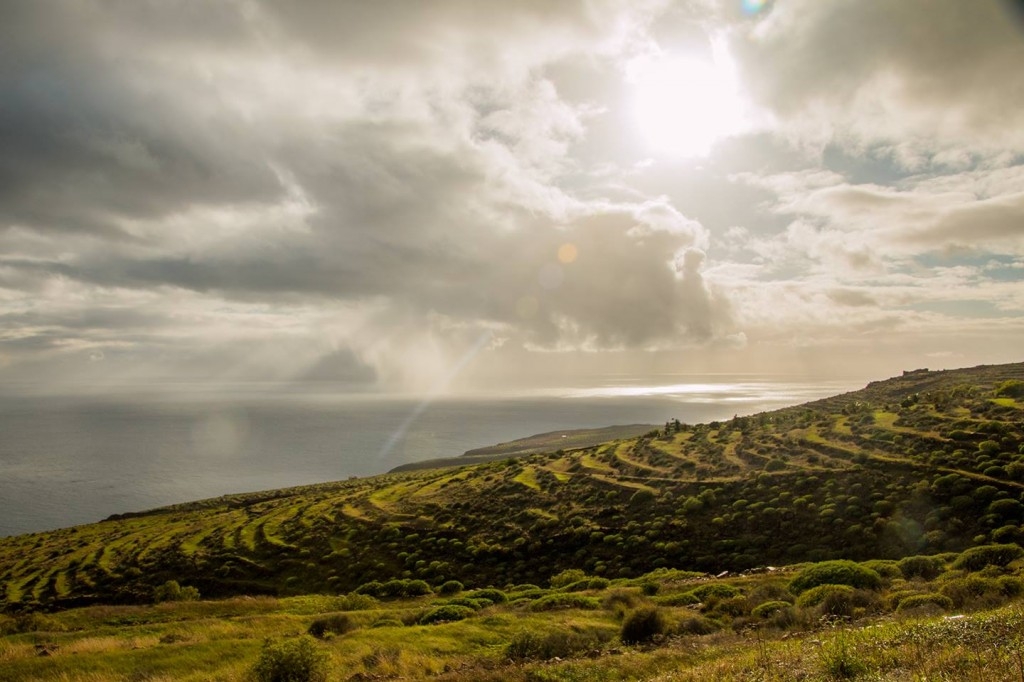 Terrassen op het eiland La Gomera, Canarische Eilanden