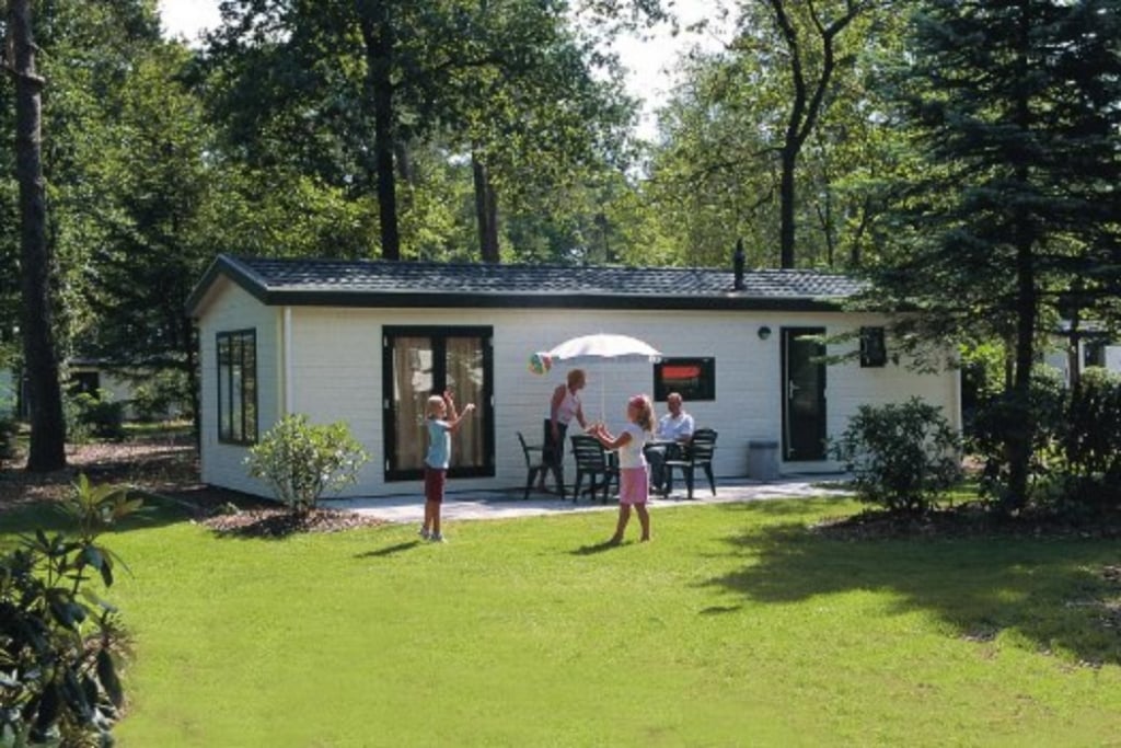 chalet bospark de schaapskooi veluwe Chalet op bospark De Schaapskooi, Veluwe