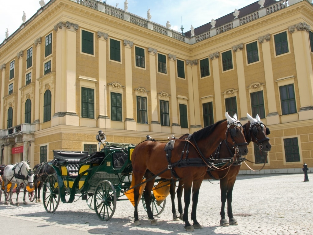 koets schloss schonbrunn wenen oostenrijk Koets bij Schloss Schönbrunn in Wenen, Oostenrijk