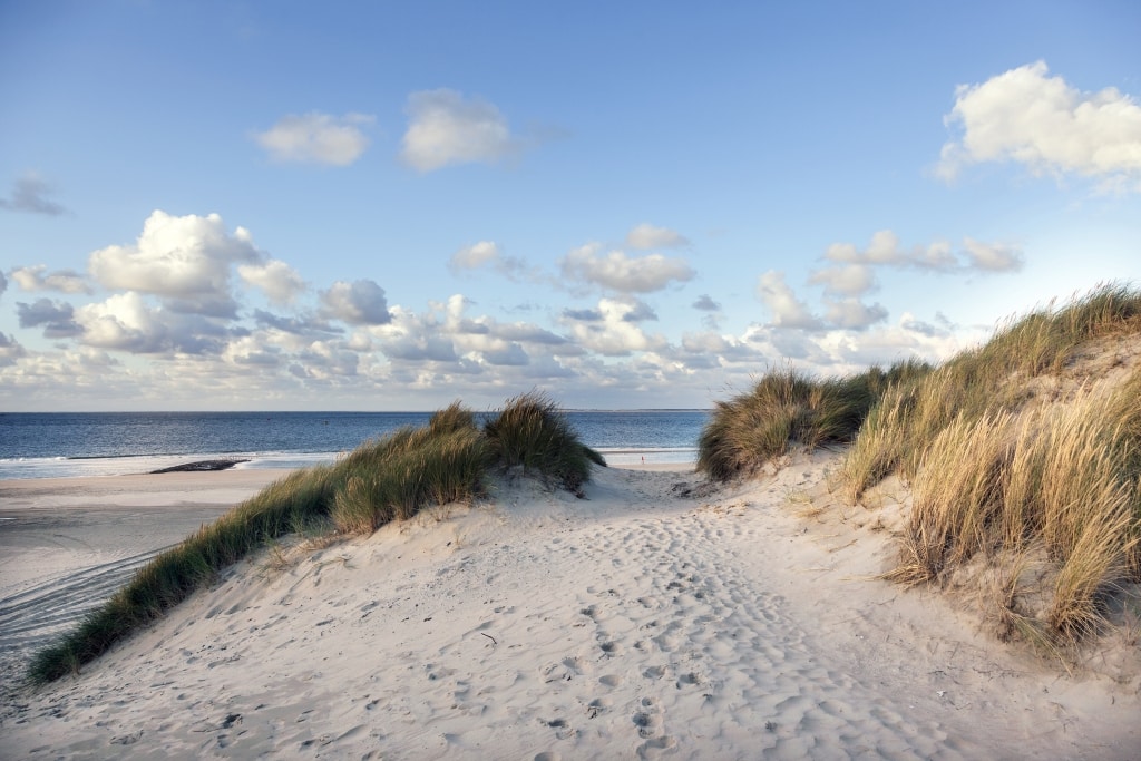 duinen zee strand Duinen en strand op Vlieland, Waddeneilanden
