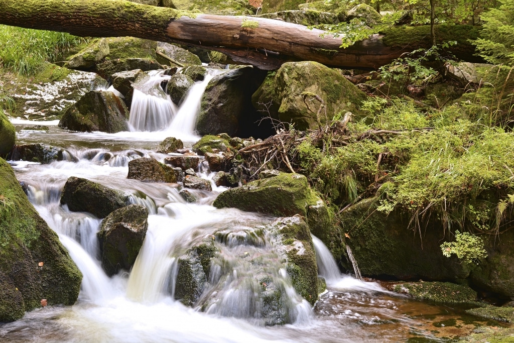 waterval harz nationaal park duitsland Waterval in Harz Nationaal Park, Duitsland