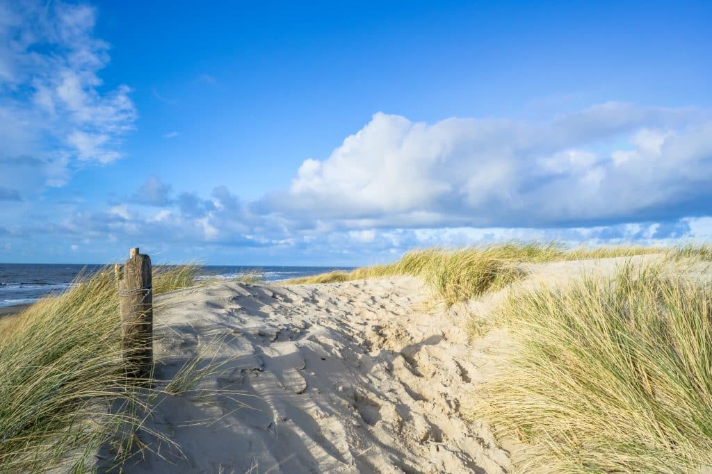 duinen strand vlieland Duinen op het strand van Vlieland