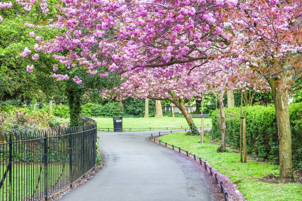 stephens green in dublin ierland Stephen’s Green in Dublin, Ierland