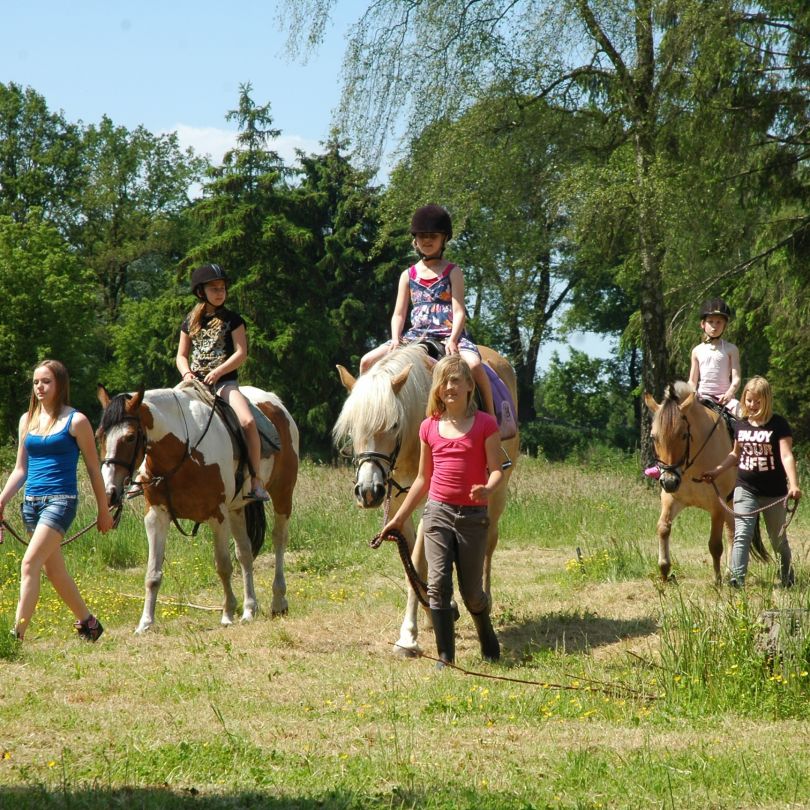 Paardrijden vakantiepark landgoed de ijsvogel voorthuizen gelderland Paardrijden bij Vakantiepark Landgoed de IJsvogel in Voorthuizen, Gelderland