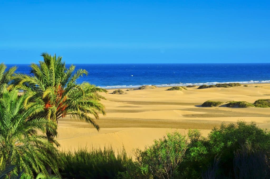 dunas de maspalomas gran canaria canarische eilanden Strand van Maspalomas, Gran Canaria