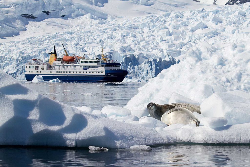 ocean nova tussen ijsbergen zeehonden De Ocean Nova vaart tussen ijsbergen en zeehonden