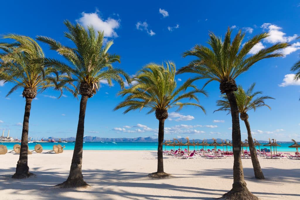 Strand van Alcudia Mallorca, Spanje