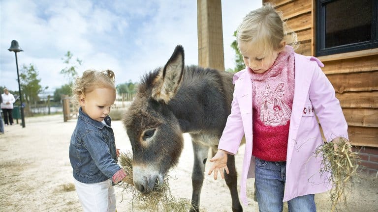 kinderboerderij center parcs de huttenheugte in dalen drenthe Kinderboerderij van Center Parcs de Huttenheugte in Dalen, Drenthe