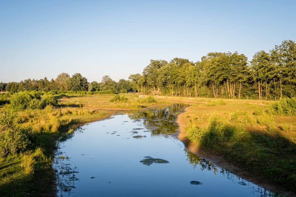 iStock 658678040 Rivier in de zomer in Twente, Overijssel