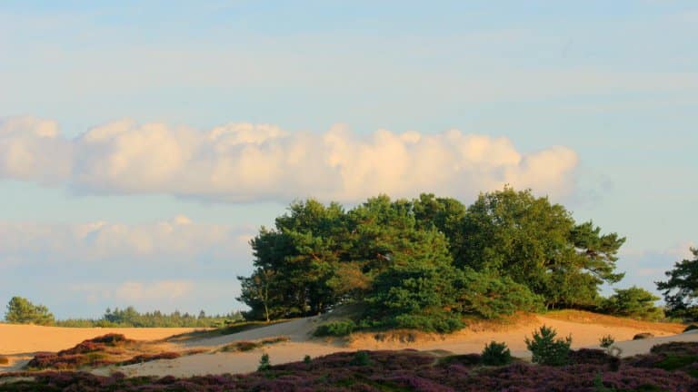 omgeving bed and breakfast grenzeloos doldersum in doldersum drenthe Omgeving van Bed and Breakfast Grenzeloos Doldersum in Doldersum, Drenthe