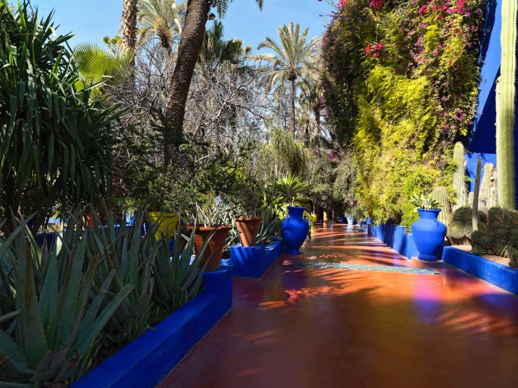 jardin de majorelle in marokko Jardin de Majorelle in Marokko