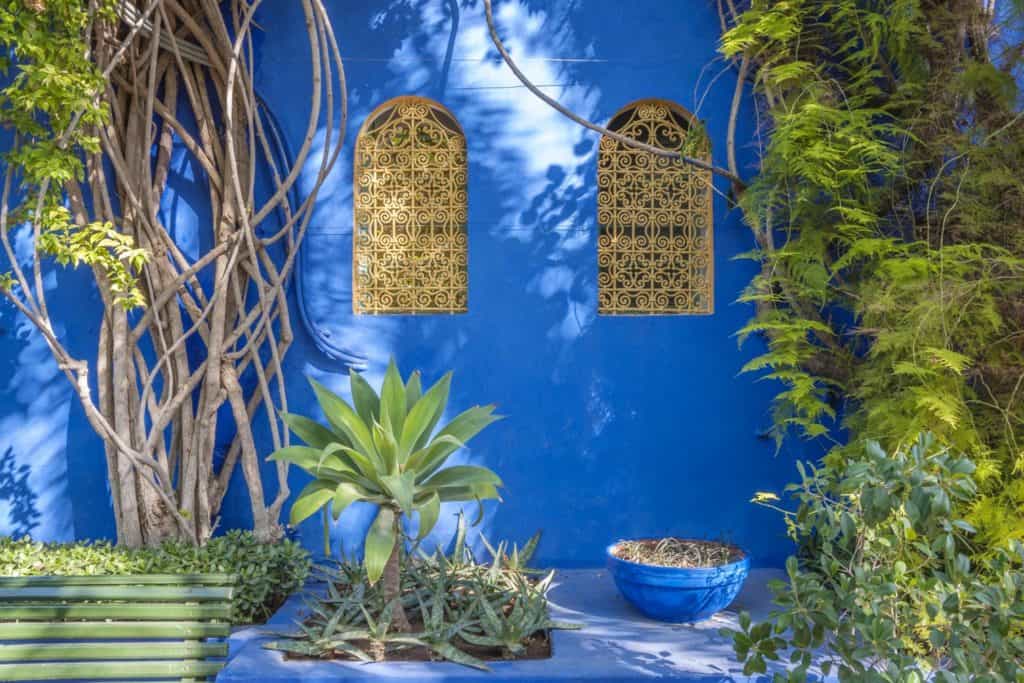 Blauwe muur en planten van Riad Dar Grawa in Marrakech, Marokko