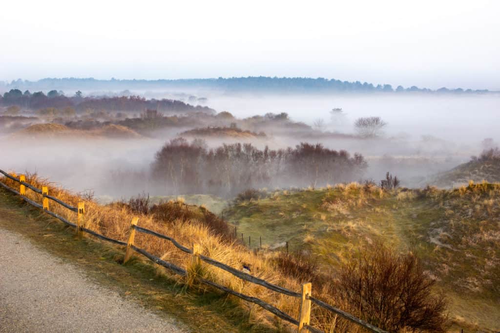 zonsopgang natuurgebied bij uden noord brabant Zonsopgang in natuurgebied bij Uden, Noord-Brabant