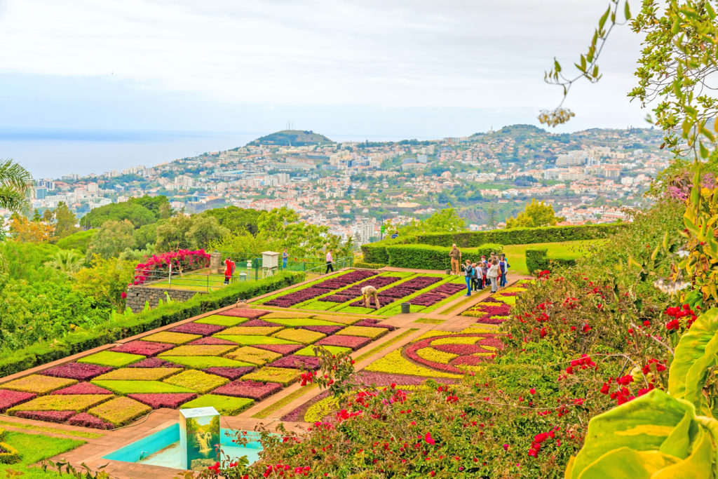 Botanische tuin Jardim Botânico op Madeira, Portugal