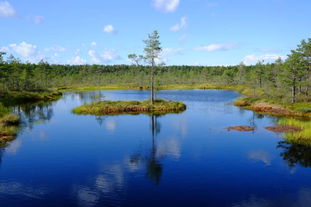 Lahemaa Nationaal park in Estland