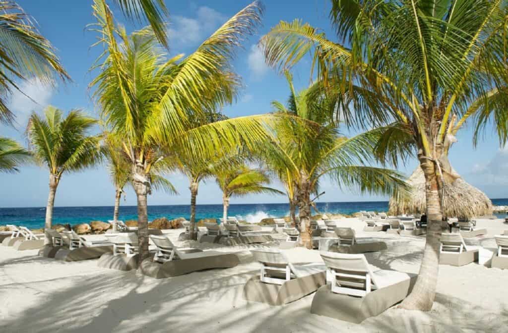 strand livingstone jan thiel resort in jan thiel baai curacao curacao Strand van Livingstone Jan Thiel Resort in Jan Thiel Baai, Curaçao, Curaçao