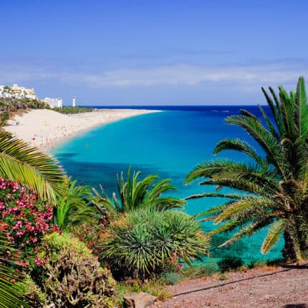 Strand van Fuerteventura in Spanje