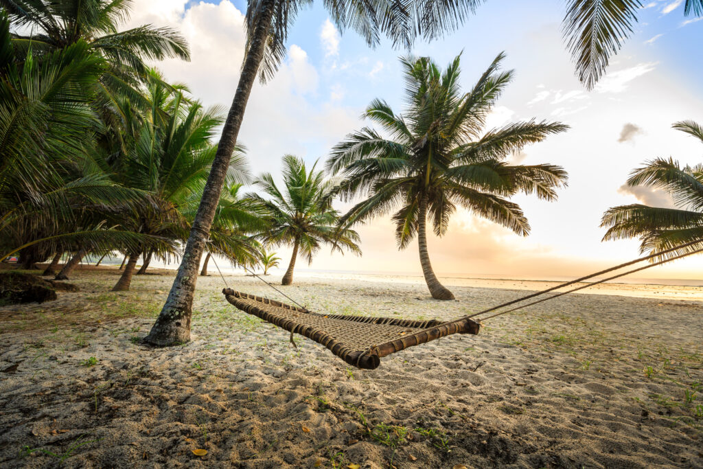 hangmat tussen twee palmbomen strand diani beach kenia Hangmat tussen twee palmbomen op een strand in Diani Beach, Kenia