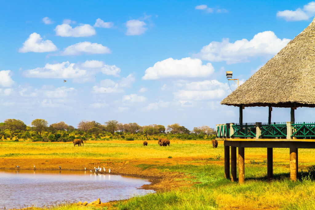 lodge om wilde beesten te bekijken nationaal park tsavo kenia Lodge om wilde beesten te bekijken in Nationaal park Tsavo, Kenia