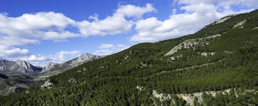 sierra de tejeda andalusie Sierras de Tejeda in Andalusië, Spanje