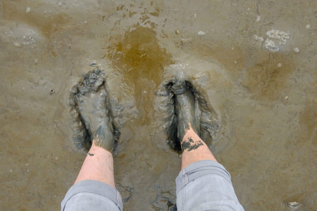 wadlopen wadlopen