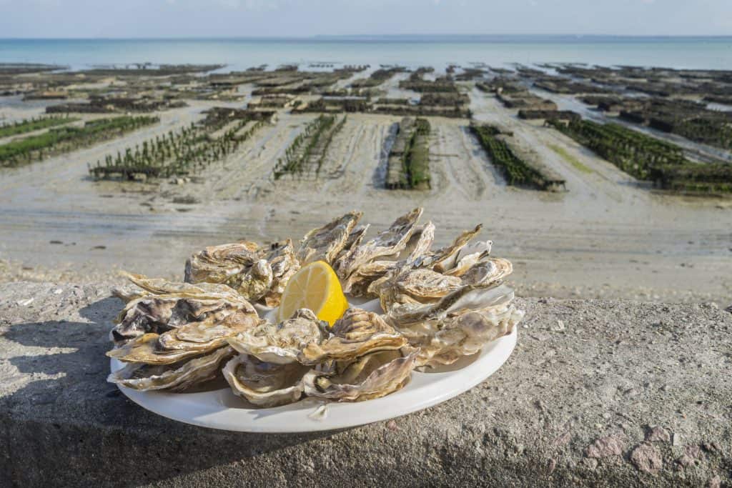 oesters bretagne frankrijk Oesters in Bretagne, Frankrijk