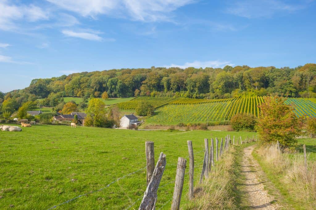 Landschap in Limburg met glooiende heuvels