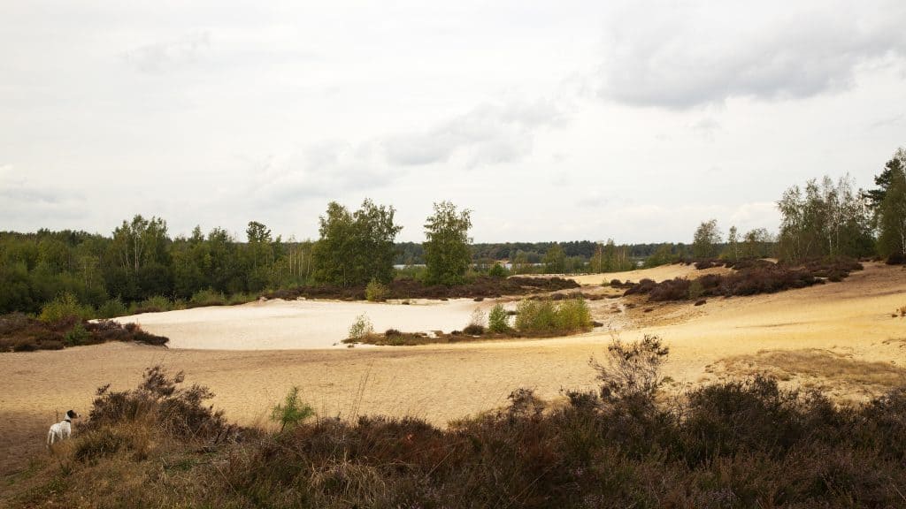 nationaal park maasduinen limburg nationaal park de maasduinen in Limburg