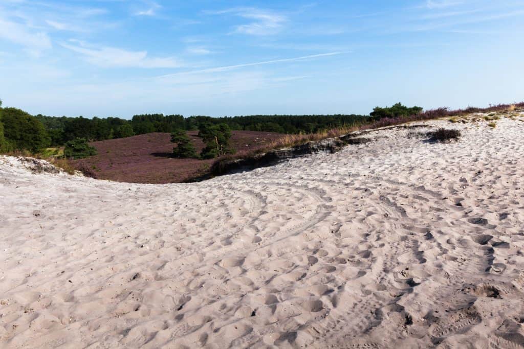 wandel fietpas brunsummerheide wandel en fietpad op de Brunsummerheide