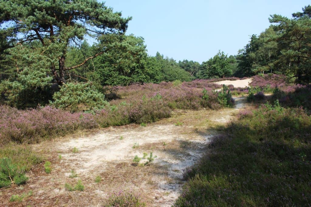 nationaal park utrechtse heuvelrug Nationaal Park Utrechtse Heuvelrug
