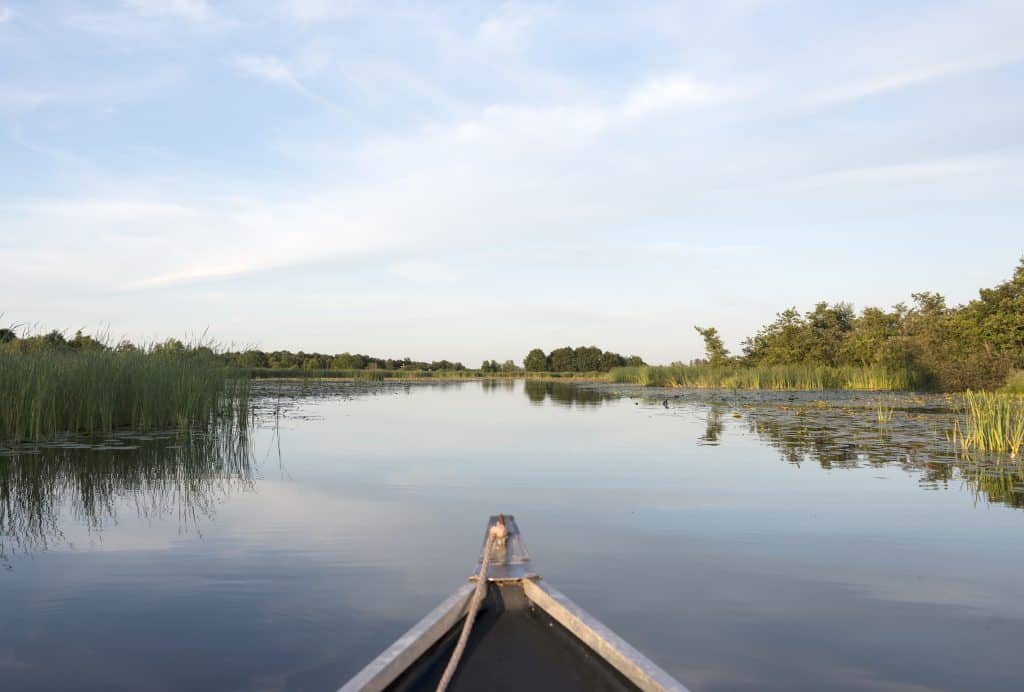 nationaal park weerribben wieden overijssel nationaal park Weerribben-Wieden in Overijssel