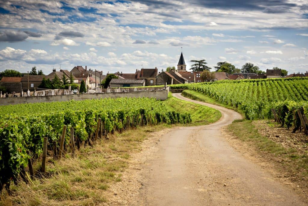 wijngaarden uitzicht dorpje bourgogne frankrijk Wijngaarden en uitzicht op een dorpje in de Bourgogne, Frankrijk