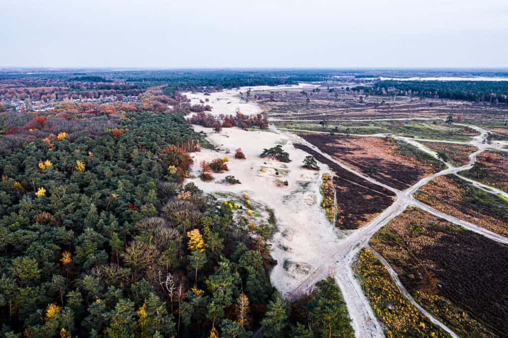 zandvlakte nationaal park loonse drunense duinen Zandvlakte van Nationaal Park Loonse en Drunense Duinen