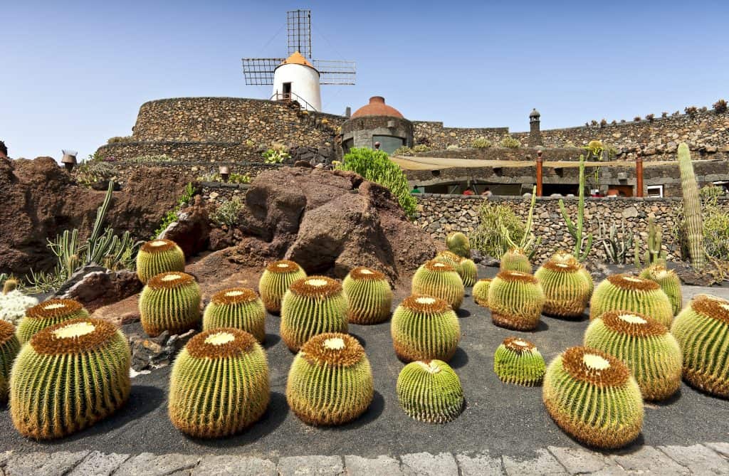 jardin cactus guatiza lanzarote Jardin de Cactus in Guatiza, Lanzarote