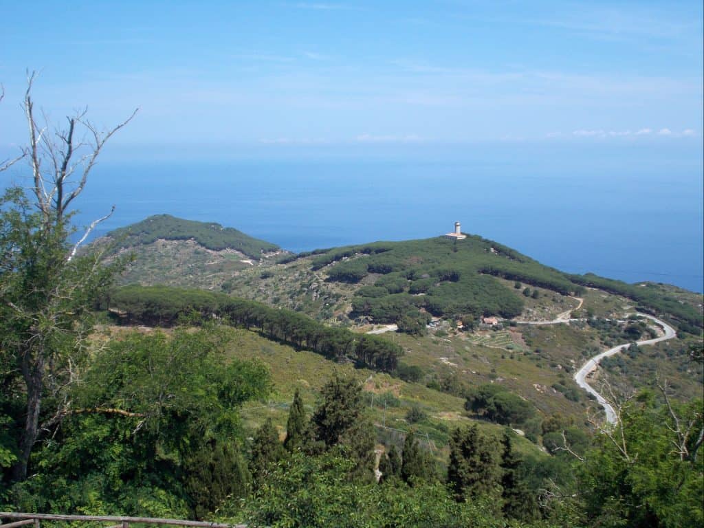 natuur isola del giglio natuur van Isola del giglio