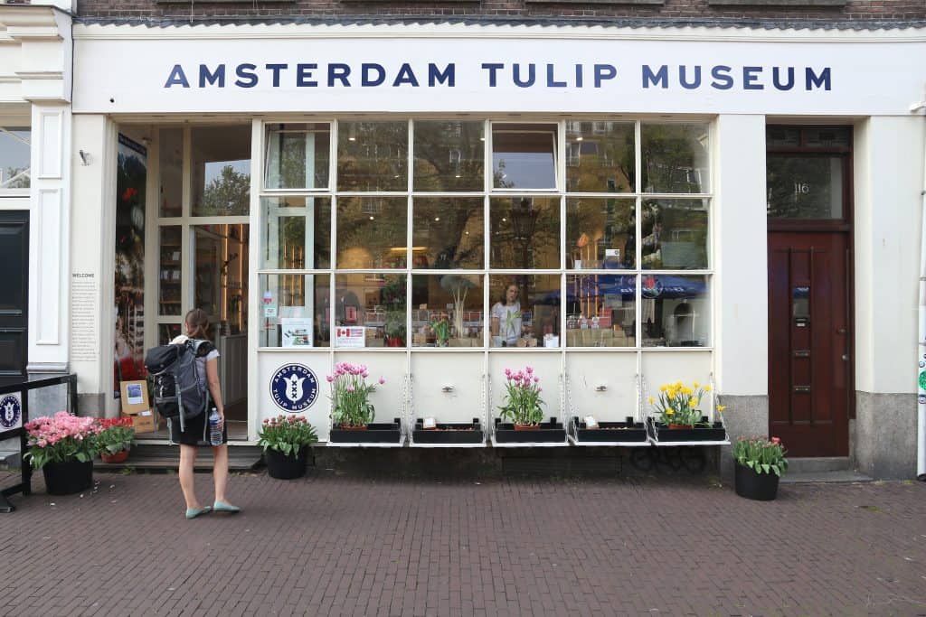 amsterdam tulip museum Amsterdam Tulip Museum