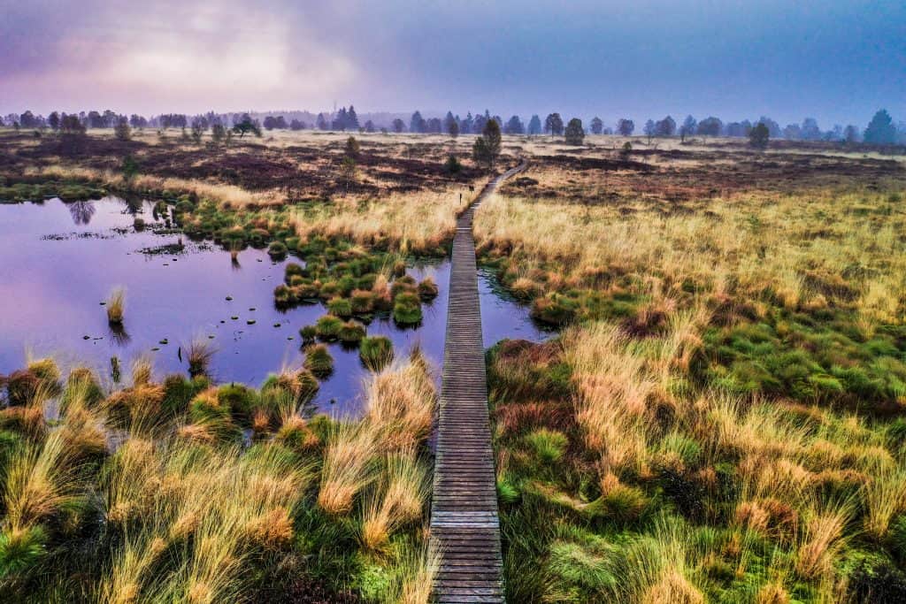 brug in het veen brug in het veen