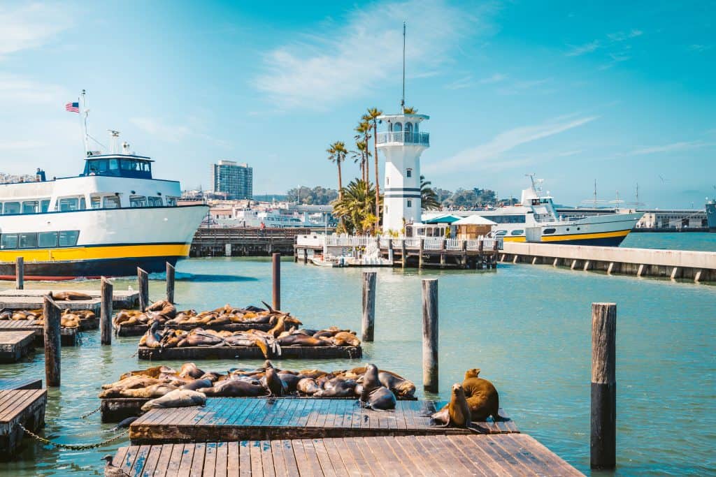 fishermans wharf met zeeleeuwen san francisco fishermans wharf met zeeleeuwen in San Francisco
