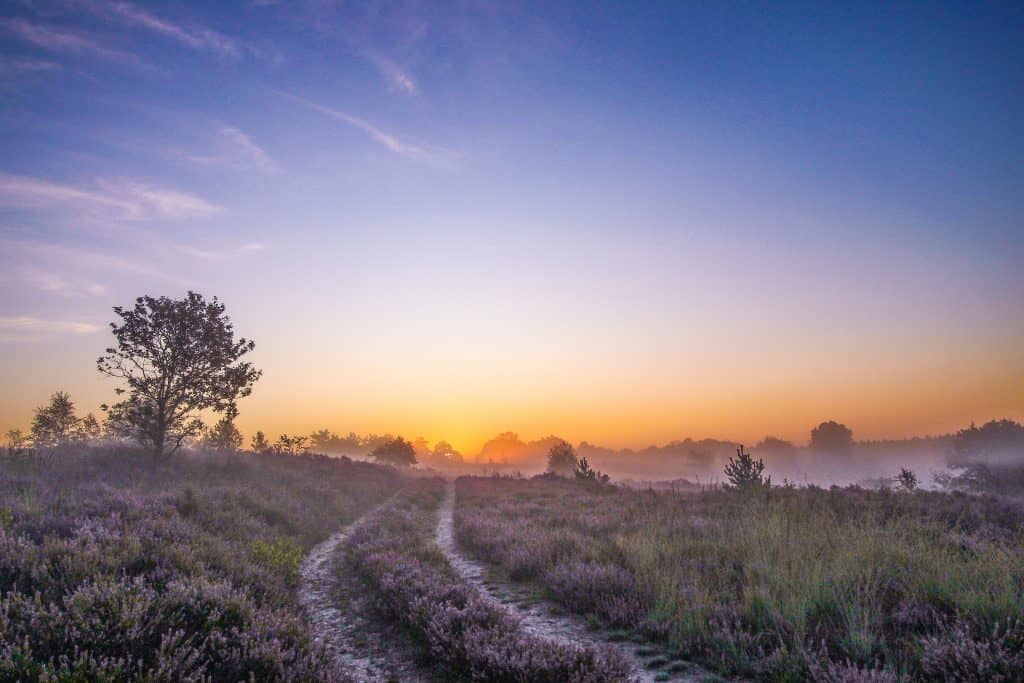 nationaal park hoge kempen in belgie Nationaal Park Hoge Kempen in Belgie