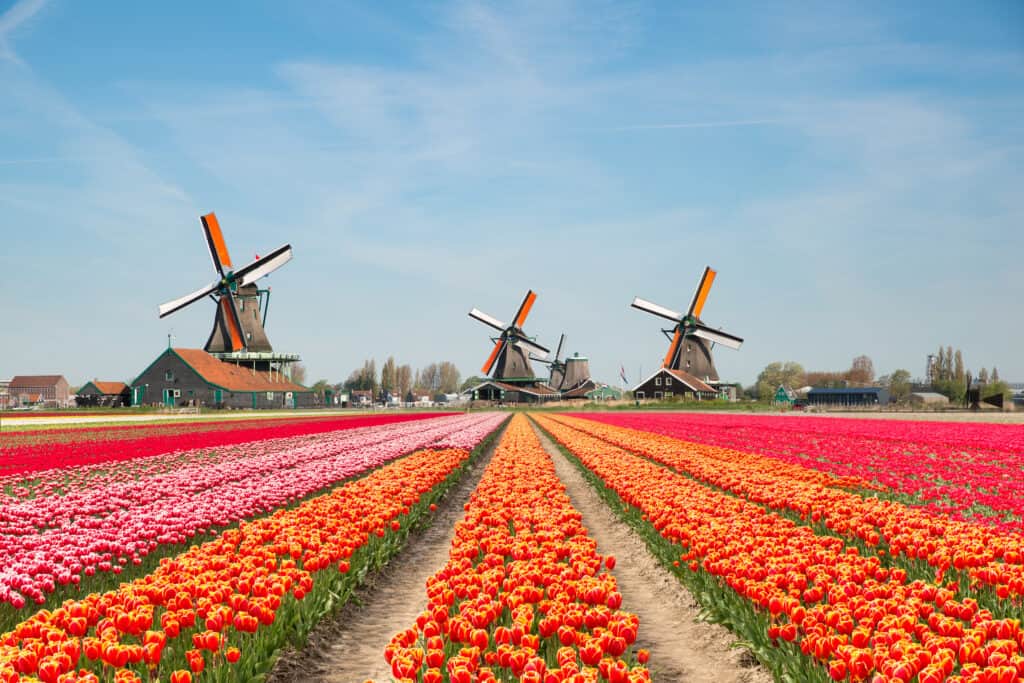 Goedkope Noord-Holland vakanties en last minutes